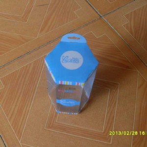 PVC PET  PP折盒 (59)